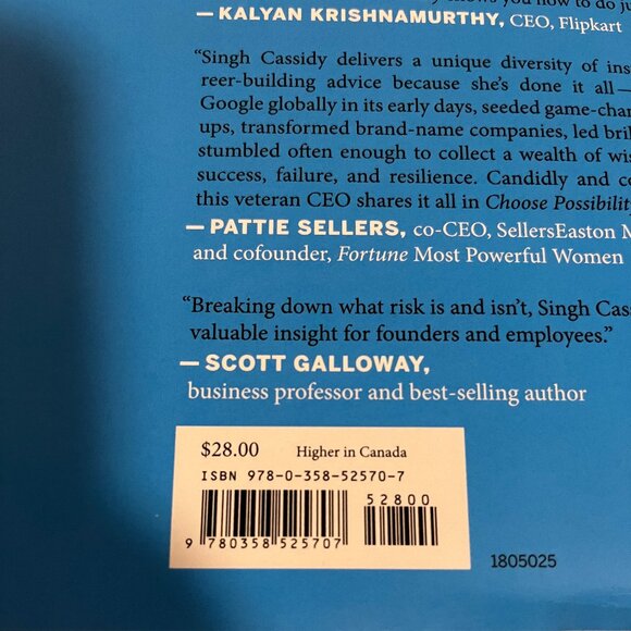 CHOOSE POSSIBILITY Take Risks and Thrive (Even When You Fail) BY SUKHINDER/NEW - Picture 2 of 6